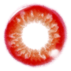 RED レッド
